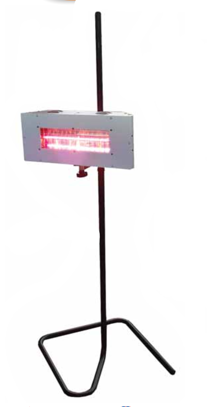 010 T